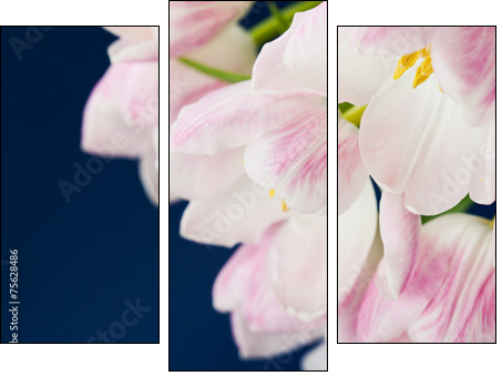 Pink tulips in vase on dark blue background - Three-piece canvas print, Triptych