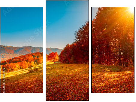 Colorful autumn landscape - Three-piece canvas print, Triptych
