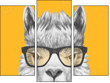 Portrait of Lama with glasses and scarf. Hand drawn illustration. - Three-piece canvas print, Triptych