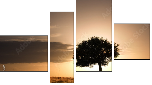 solitary oak tree in golden sunset - Four-piece canvas print, Fortyk