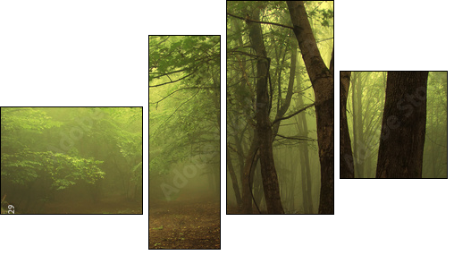Green forest with fog - Four-piece canvas print, Fortyk