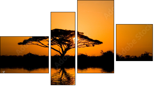 acacia tree at sunrise - Four-piece canvas print, Fortyk
