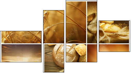 Wheat Collage.Harvest concepts - Four-piece canvas print, Fortyk