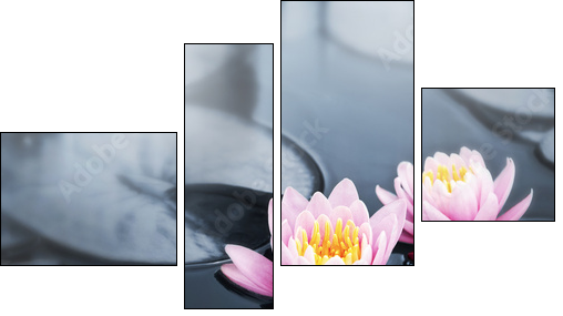 Lotus blossoms - Four-piece canvas print, Fortyk