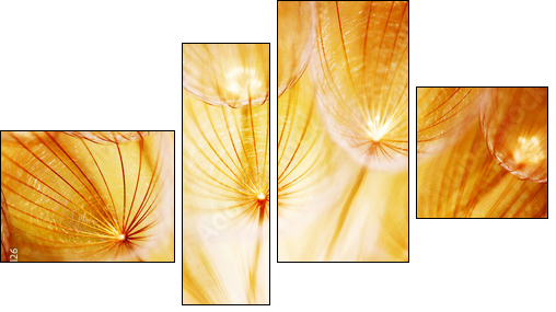Soft dandelion flower - Four-piece canvas print, Fortyk