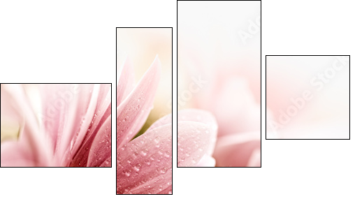 Beautiful daisy flowers closeup - Four-piece canvas print, Fortyk