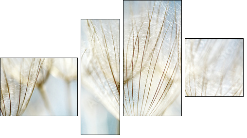 Abstract dandelion flower background - Four-piece canvas print, Fortyk