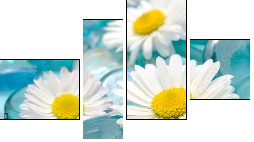 Daisy Flowers on Blue Glass Stones - Four-piece canvas print, Fortyk
