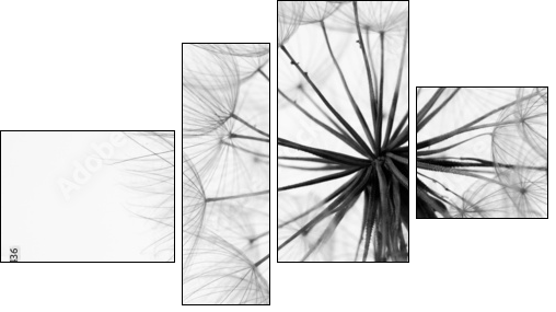 Close-up of dandelion - Four-piece canvas print, Fortyk