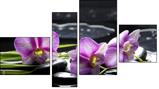 Pink orchid with bamboo leaf and stones with reflection - Four-piece canvas print, Fortyk