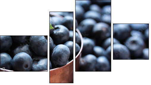Blueberries - Four-piece canvas print, Fortyk