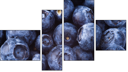 many blueberries - Four-piece canvas print, Fortyk