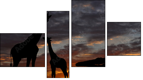 giraffes in the sunset - Four-piece canvas print, Fortyk