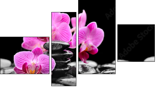 orchid - Four-piece canvas print, Fortyk