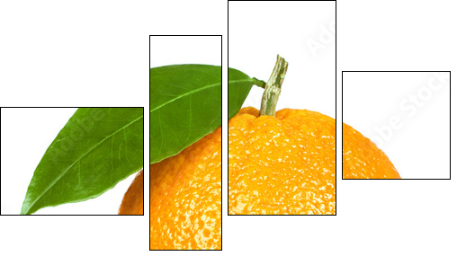 Ripe orange isolated on white background - Four-piece canvas print, Fortyk