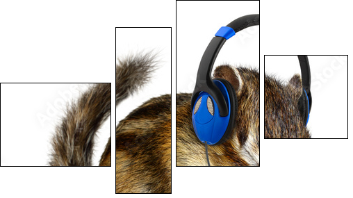 Funny chipmunk listening to music on headphones - Four-piece canvas print, Fortyk