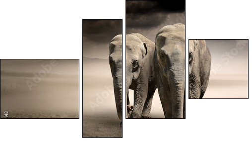 Pair of elephants in motion - Four-piece canvas print, Fortyk