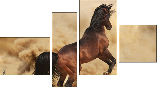Purebred arabic stallion in desert - Four-piece canvas print, Fortyk