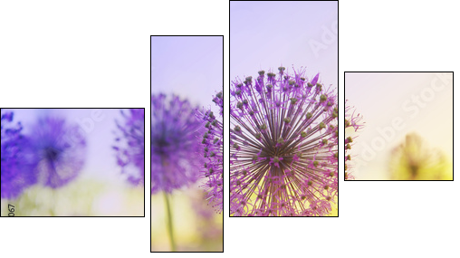 Flowering Onion - Four-piece canvas print, Fortyk