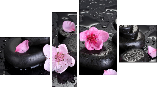 Spa stones with drops and pink sakura flowers - Four-piece canvas print, Fortyk