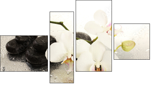 Spa stones and orchid flowers, isolated on white. - Four-piece canvas print, Fortyk