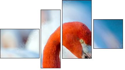 Pink flamingo on the lake - Four-piece canvas print, Fortyk