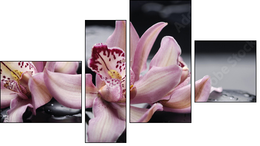 spa concept âgorgeous pink orchid and zen stones - Four-piece canvas print, Fortyk