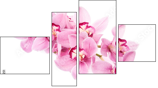 pink orchid flowers isolated - Four-piece canvas print, Fortyk