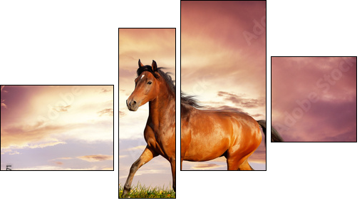Beautiful brown horse running trot - Four-piece canvas print, Fortyk