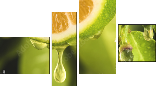Drop of juice from a sliced lemon - Four-piece canvas print, Fortyk