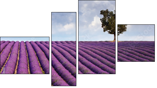Lavender field and a lone tree - Four-piece canvas print, Fortyk