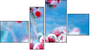 Frozen rowan berries - Four-piece canvas print, Fortyk