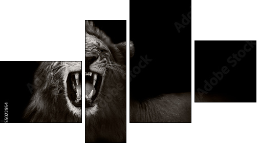 Lion displaying dangerous teeth - Four-piece canvas print, Fortyk