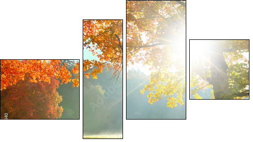 Autumn landscape  - Four-piece canvas print, Fortyk