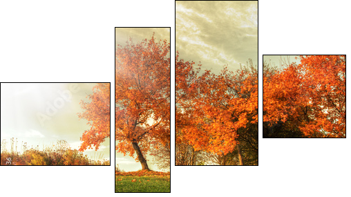 Autumn landscape - Four-piece canvas print, Fortyk