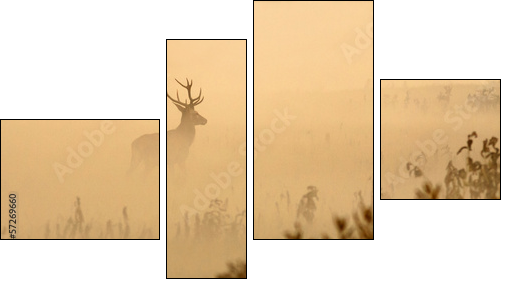 Red deer with big antlers stands on meadow on foggy morning - Four-piece canvas print, Fortyk