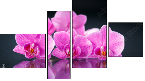 beautiful branch Phalaenopsis - Four-piece canvas print, Fortyk