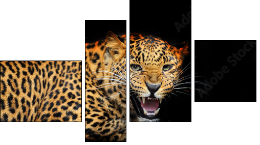 Portrait of leopard in its natural habitat - Four-piece canvas print, Fortyk