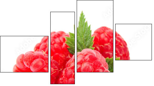 Sweet raspberry with leafs - Four-piece canvas print, Fortyk