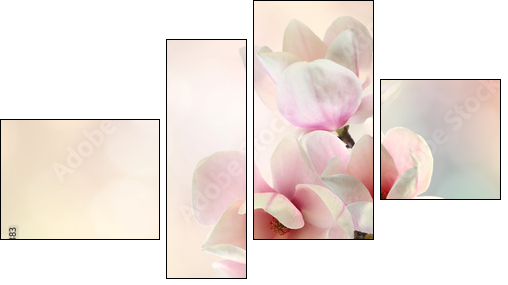 magnolia - Four-piece canvas print, Fortyk