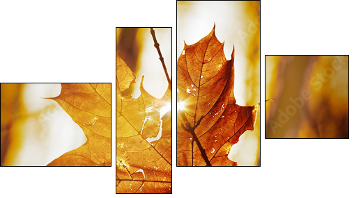 dry autumn leaf - Four-piece canvas print, Fortyk