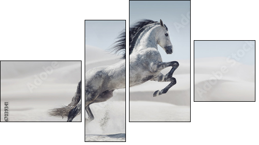 Picture presenting the galloping white horse - Four-piece canvas print, Fortyk