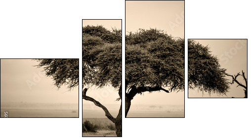 Lone acacia tree with gazelles in sepia - Four-piece canvas print, Fortyk