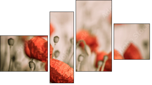 red poppy - Four-piece canvas print, Fortyk