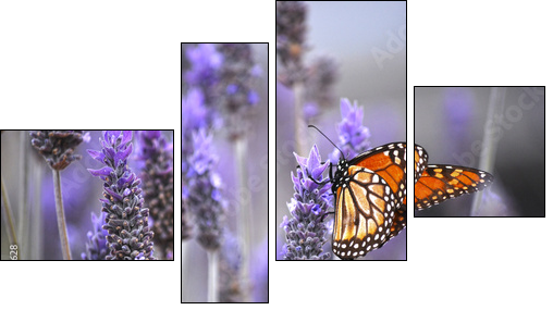 Butterfly with lavenders - Four-piece canvas print, Fortyk
