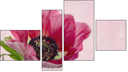 Closeup of anemone flower2 - Four-piece canvas print, Fortyk
