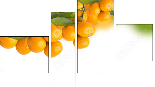 tangerine trees - Four-piece canvas print, Fortyk