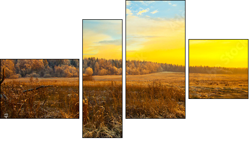 Field, forest, dry grass - beautiful landscape at sunset - Four-piece canvas print, Fortyk