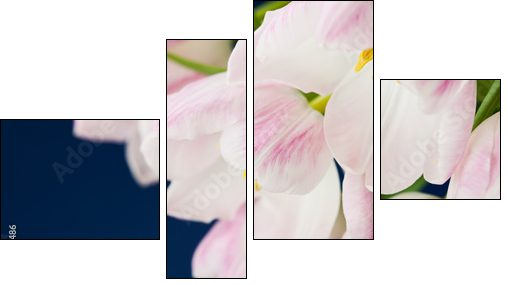 Pink tulips in vase on dark blue background - Four-piece canvas print, Fortyk