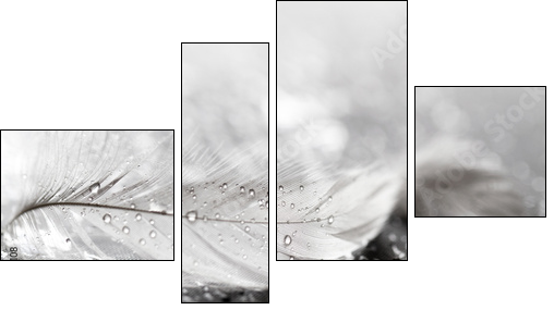 White feather with water drops - Four-piece canvas print, Fortyk